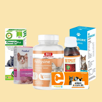 Cat Supplements