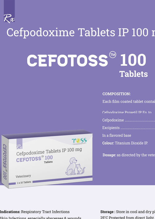 CEFOTOSS 100MG TABLET