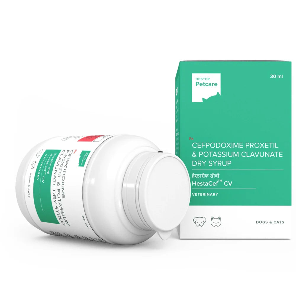 HESTACEF CV DRY SYRUP