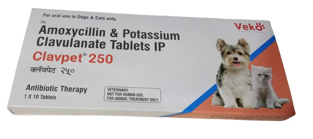 CLAVPET 250MG TABLET