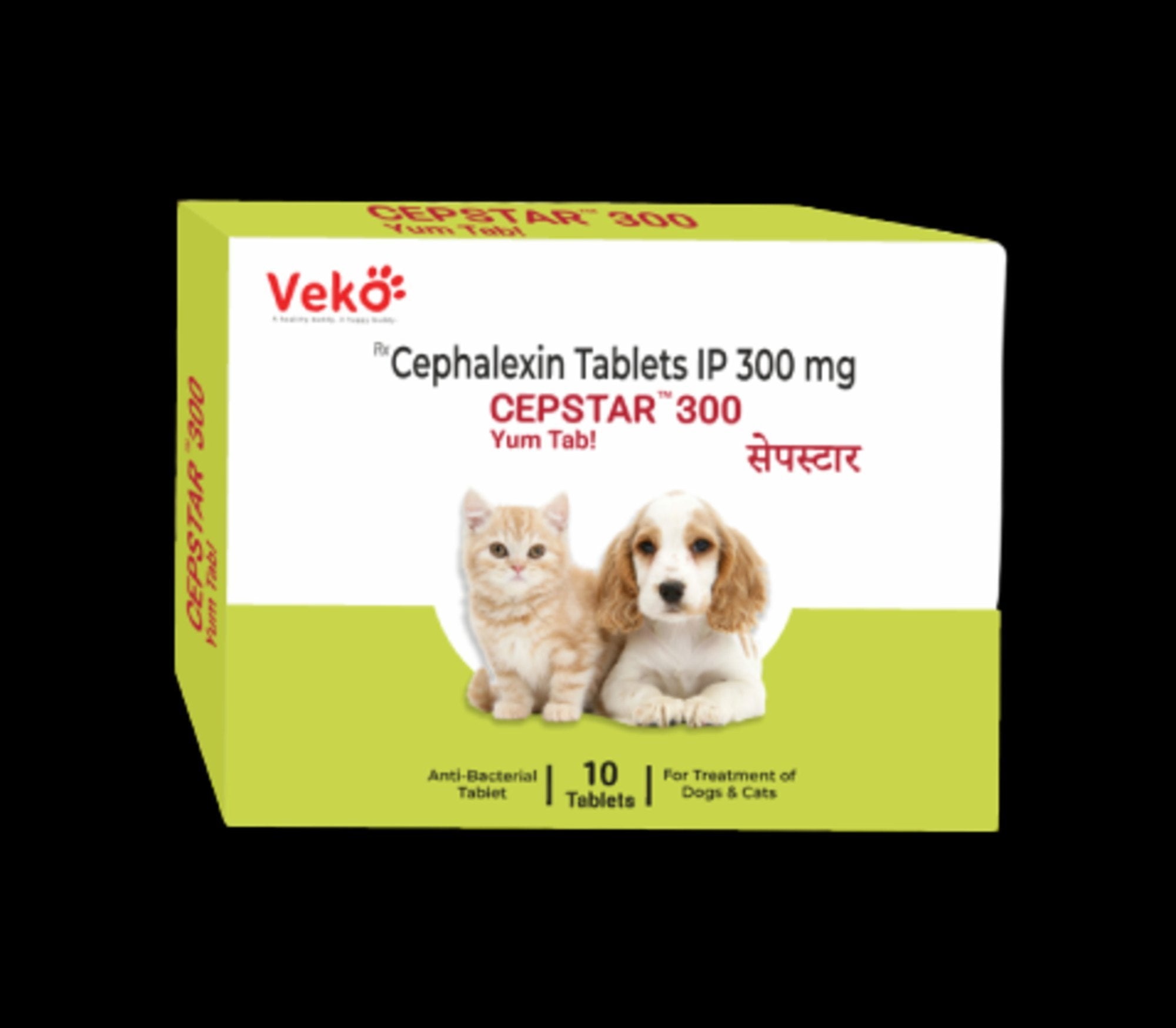 CEPSTAR 300MG TABLET