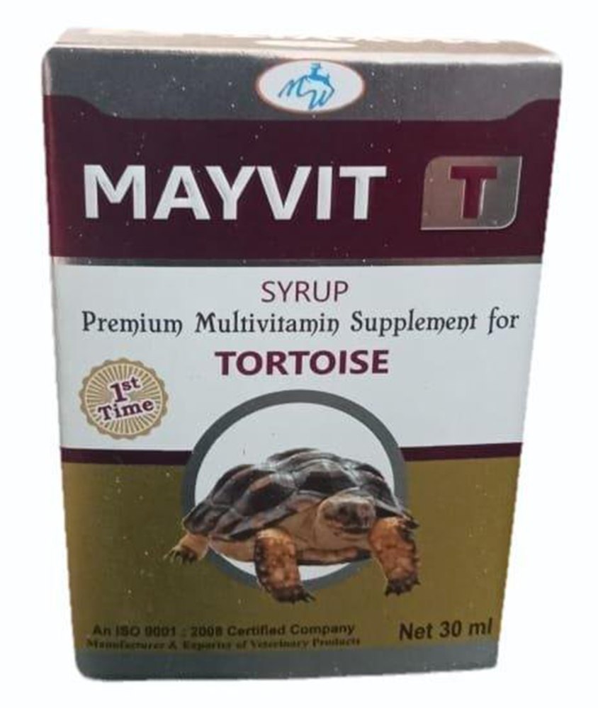 MAYVIT TORTOISE DROP