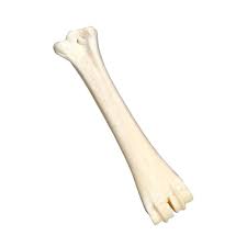 FB WHITE CALCIUM BONE
