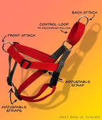 WW TOYBREED TUXIDO HARNESS WITH LEASH CHECKS (S)