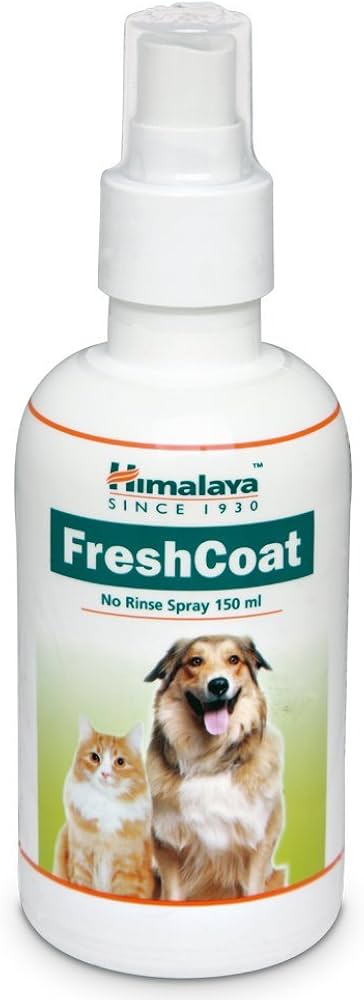 FRESH COAT SPRAY (S)