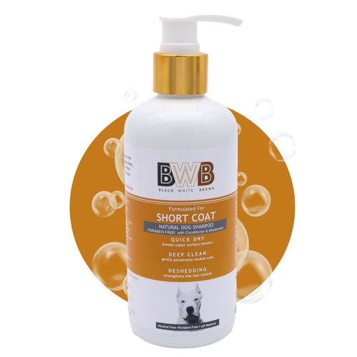 BWB SHORTCOAT SHAMPOO