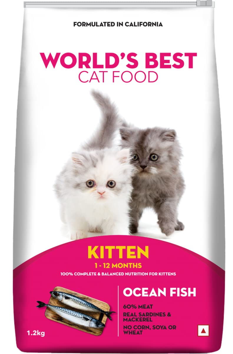WORLDS BEST CAT FOOD KITTEN