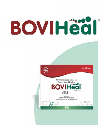 BOVIHEAL BOLUS