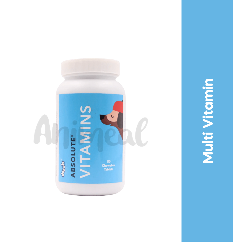 ABSOLUTE VITAMIN TABLET