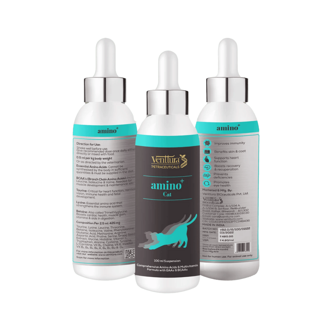 AMINO PLUS CAT LIQUID