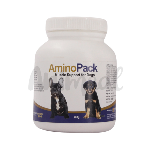 AMINOPACK  POWDER