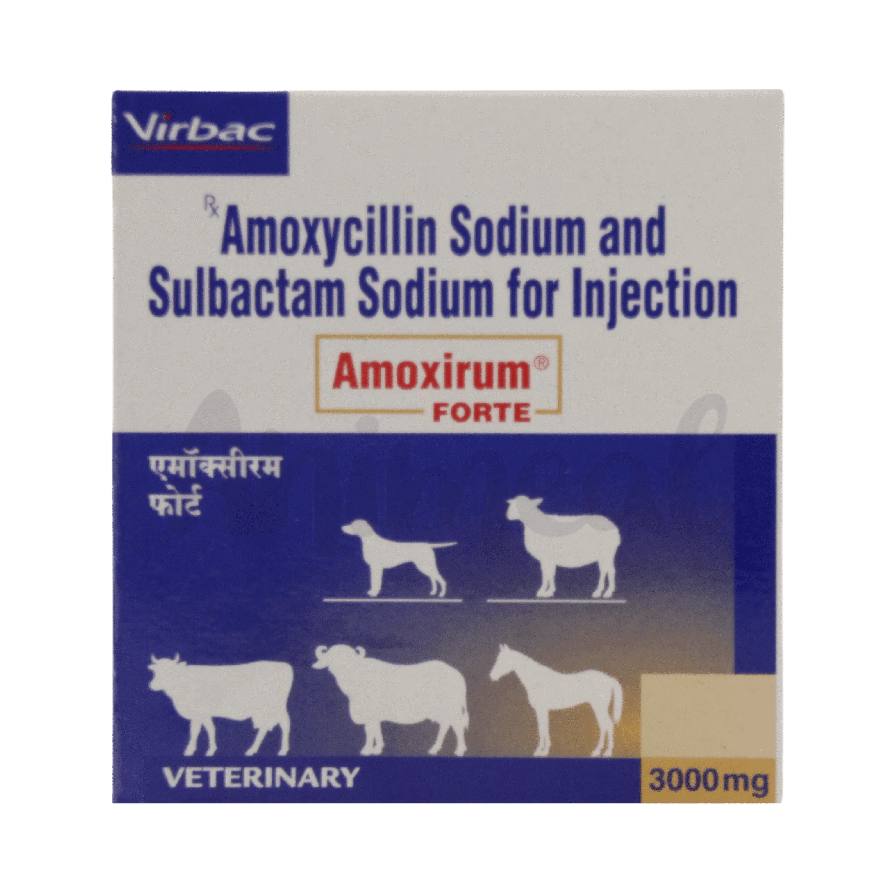 AMOXIRUM FORTE INJ 3000MG