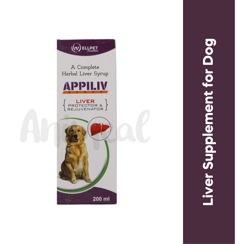 APPILIV SYRUP