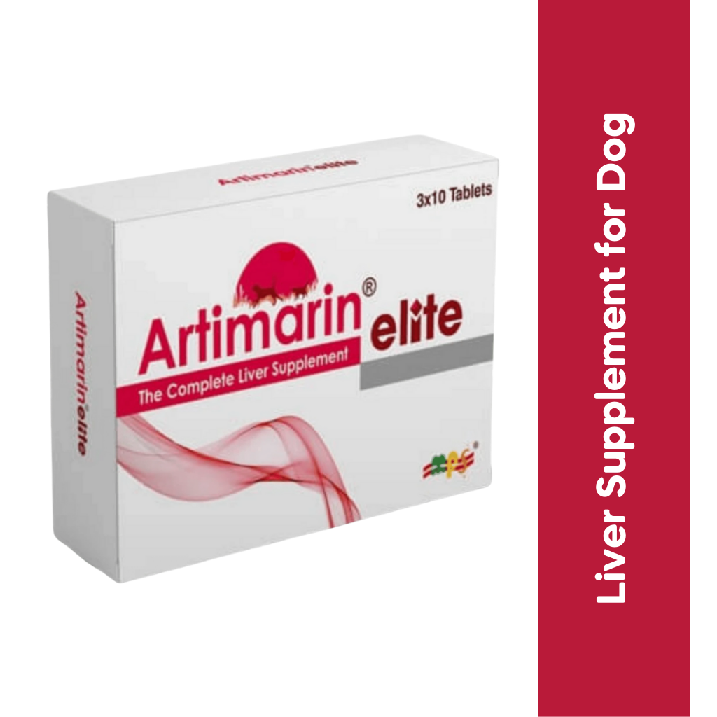 ARTIMARINE ELITE TABLET