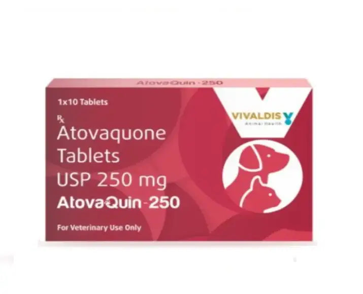 ATOVAQUIN 250MG TABLET