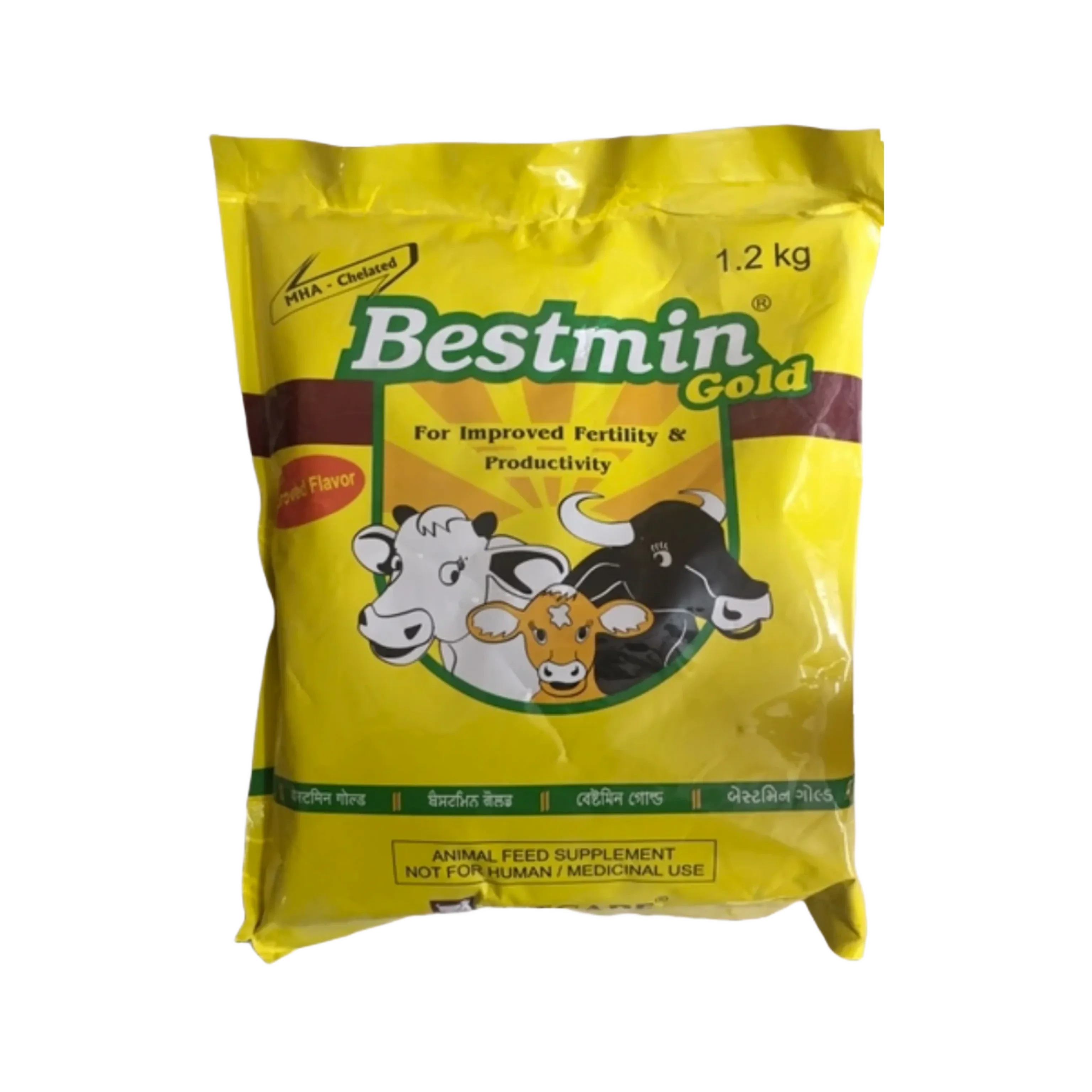 BESTMIN GOLD POWDER (M)