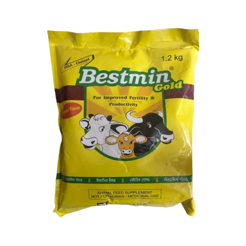 BESTMIN GOLD POWDER (M)