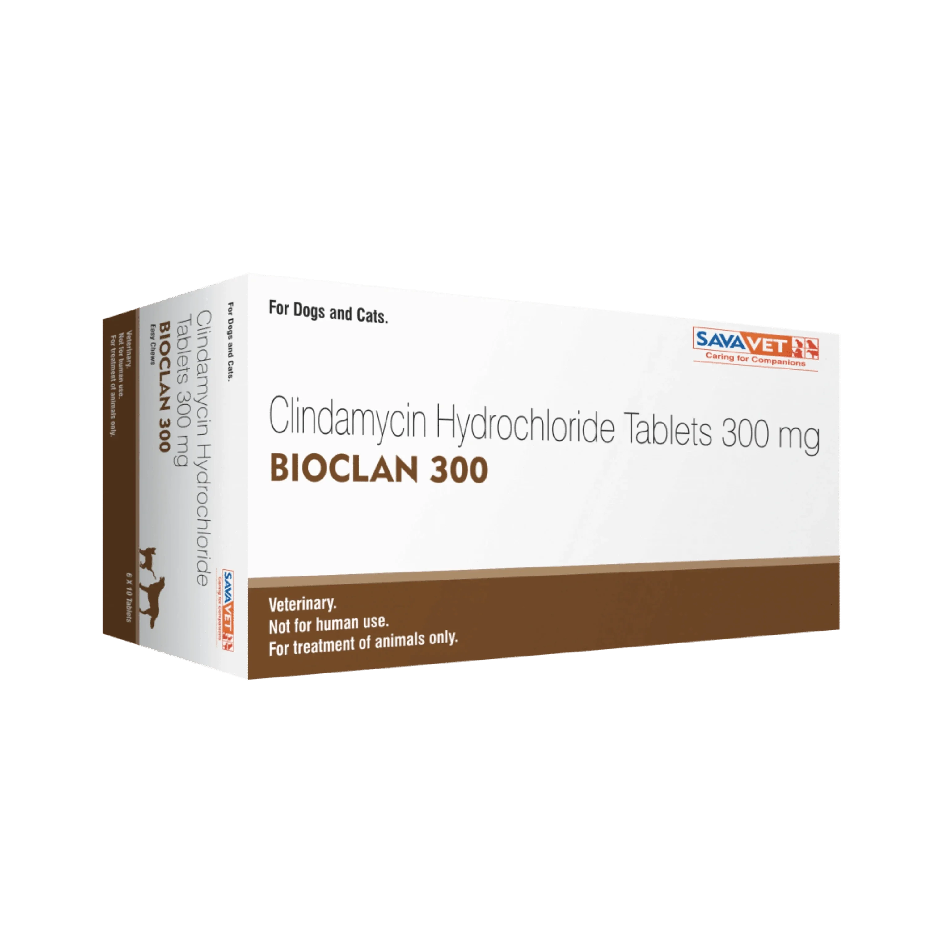BIOCLAN 300 TABLET