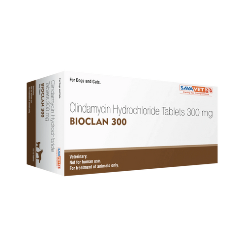 BIOCLAN 300 TABLET