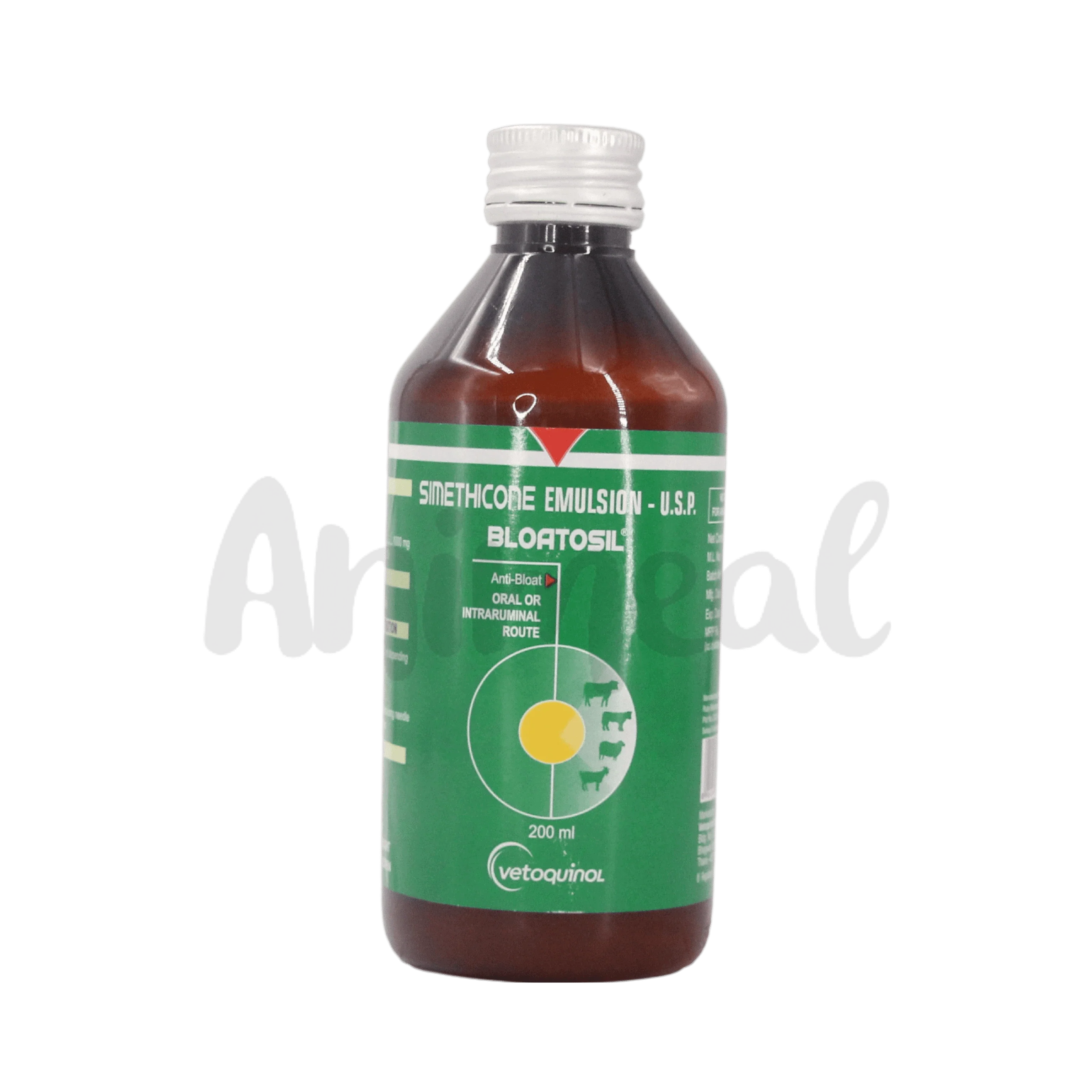 BLOATOSIL SYRUP (L)