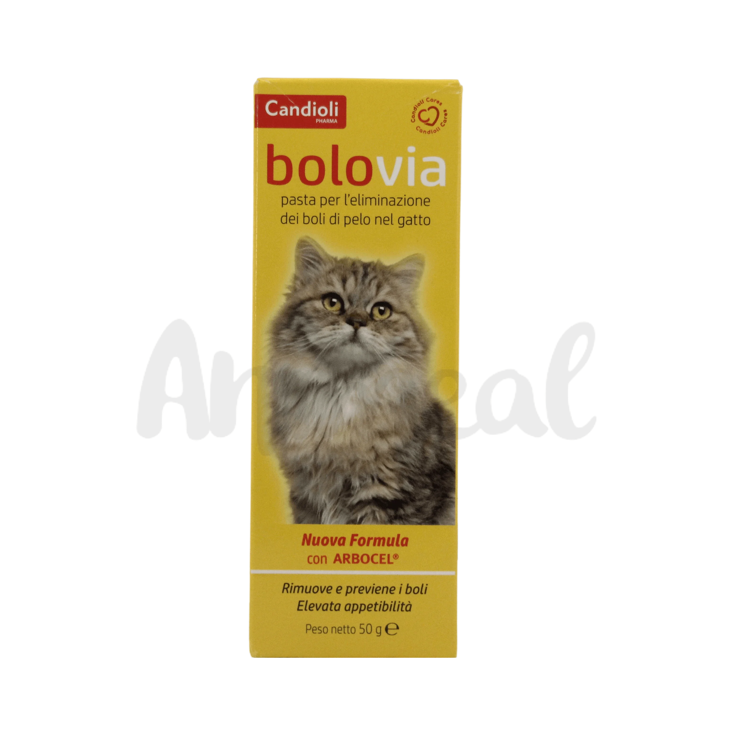 BOLO VIA CAT PASTE