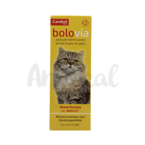 BOLO VIA CAT PASTE