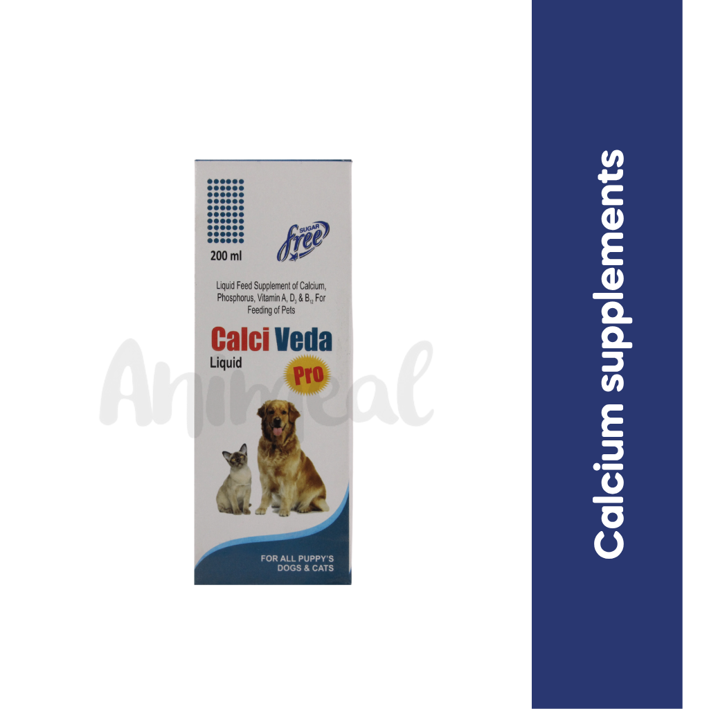 CALCI VEDA PRO SYRUP