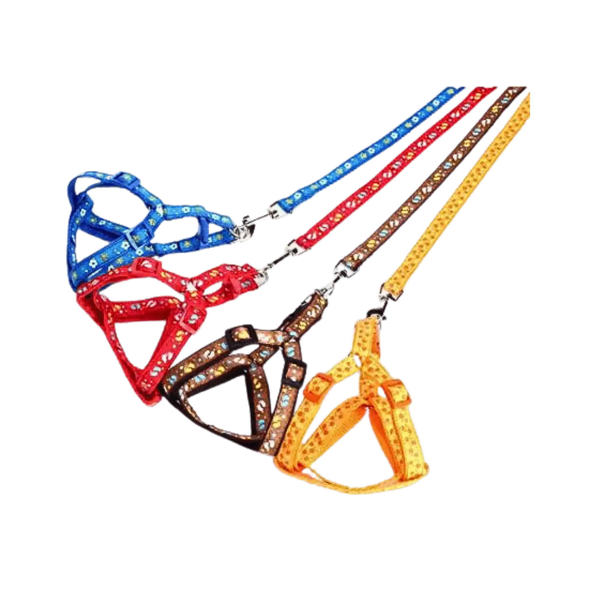 CANINE CREW PRINT BODY SET (XS)