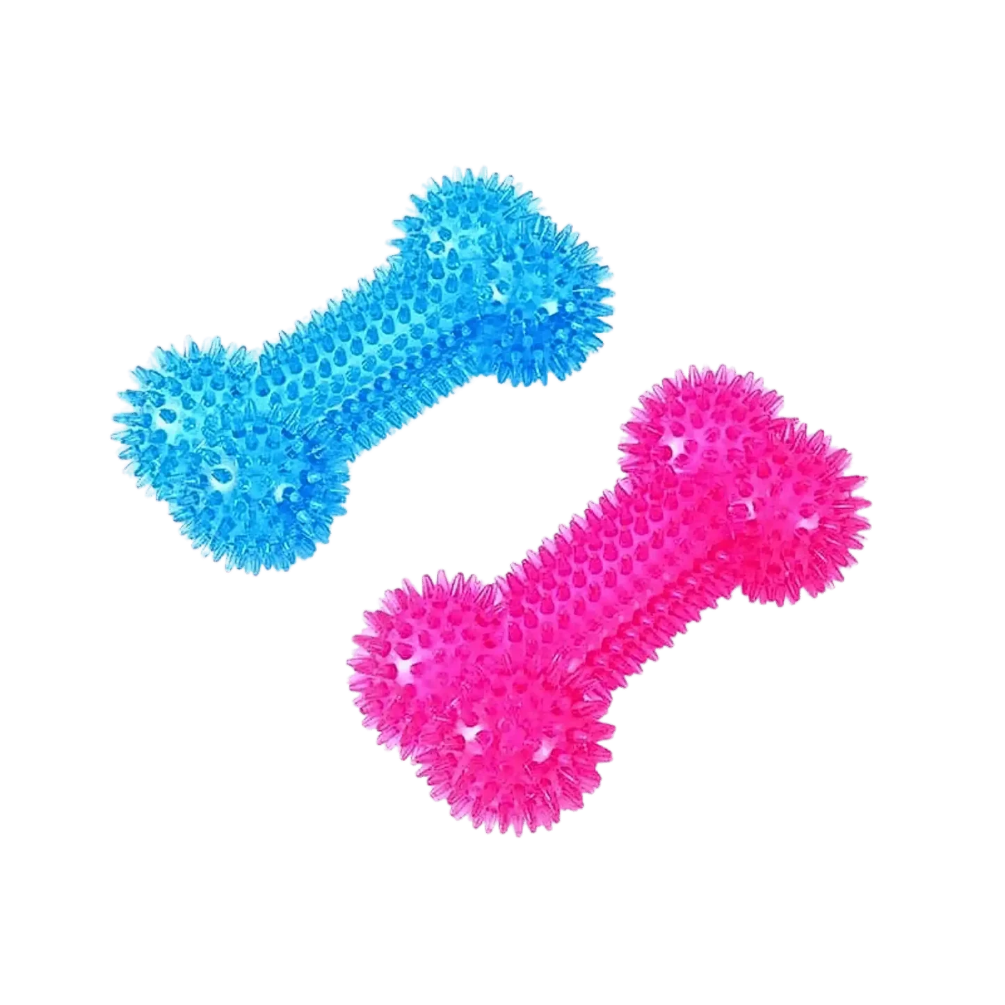 CANINE CREW SQUEAKY BONE