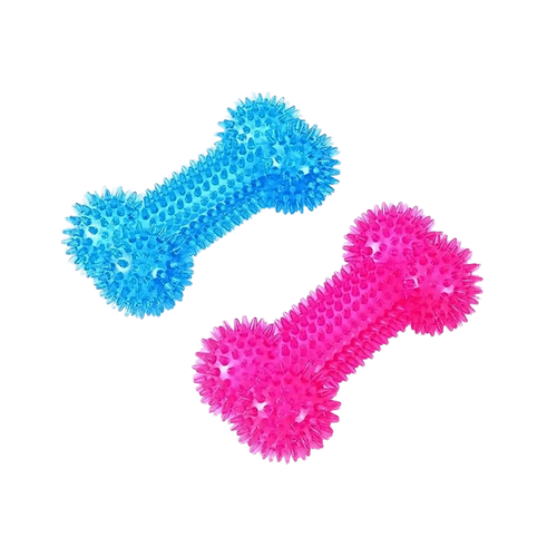 CANINE CREW SQUEAKY BONE