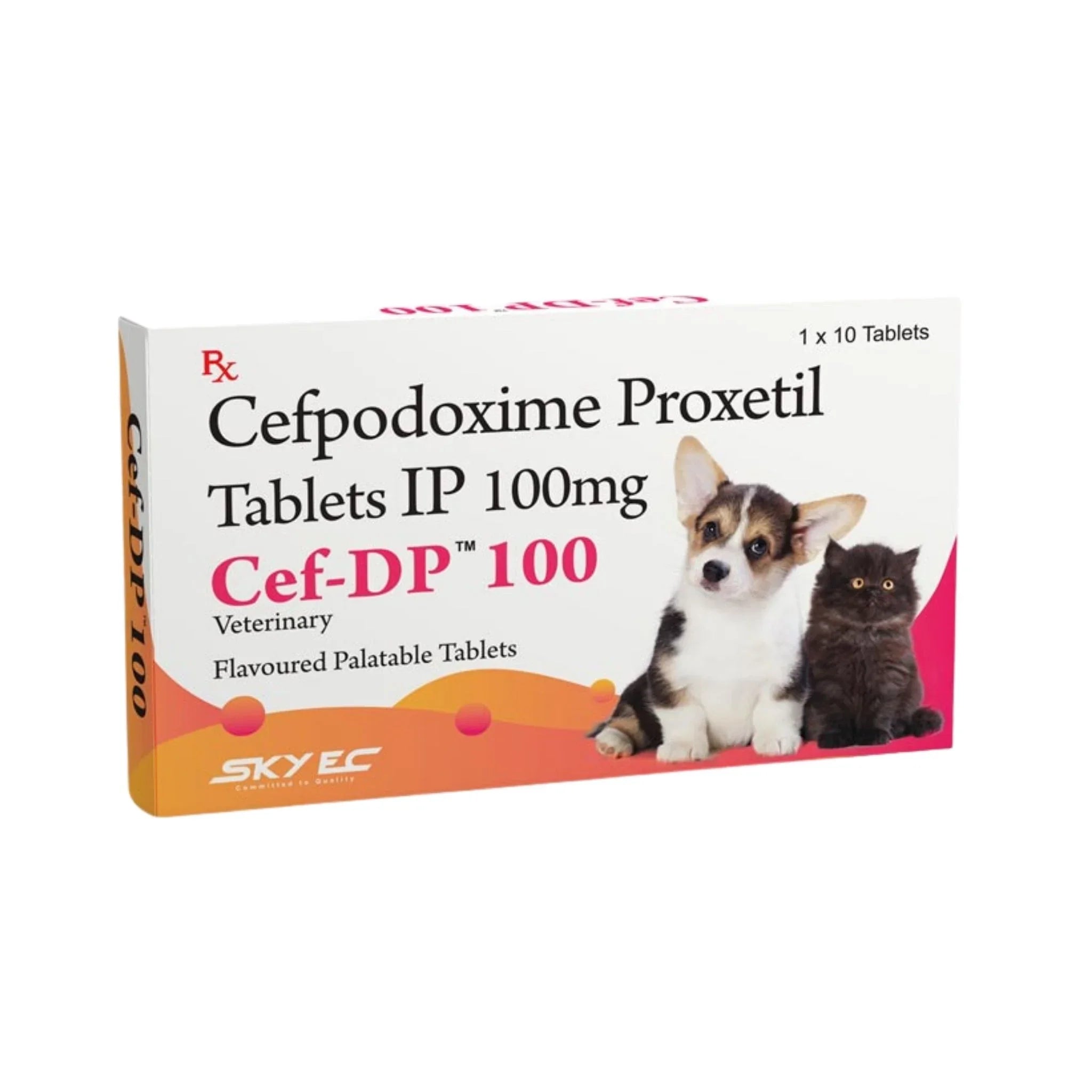 CEF - DP 100MG TABLET