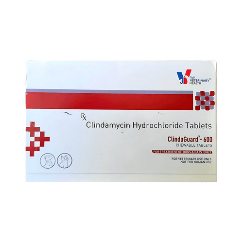 CLINDAGUARD 300MG TABLET