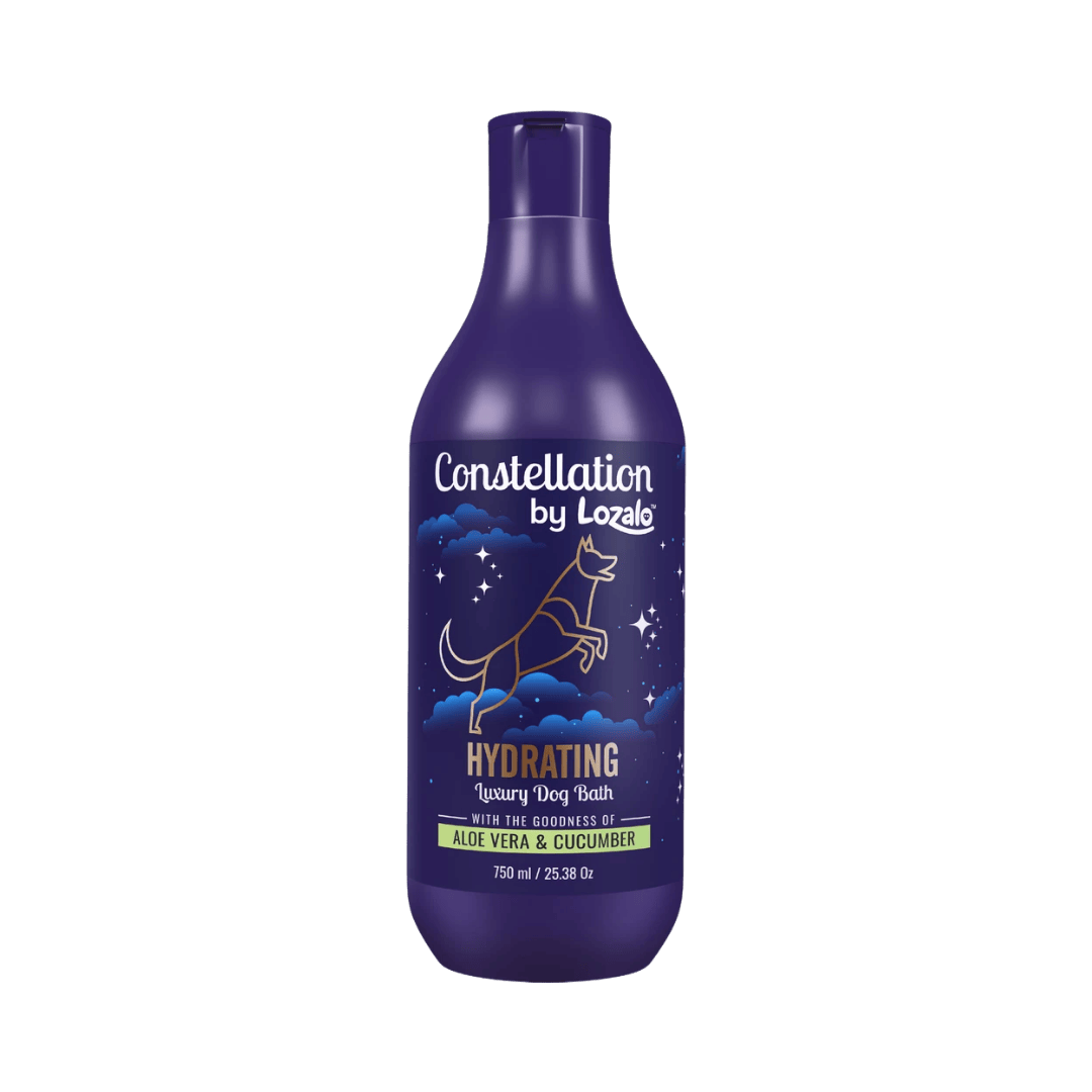 CONSTELLATION HYDRATING SHAMPOO
