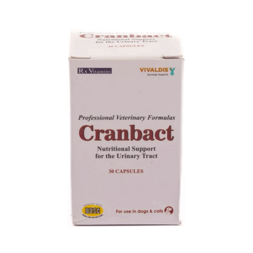 CRANBACT CAPSULE