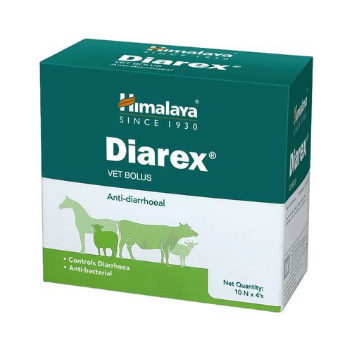 DIAREX BOLUS