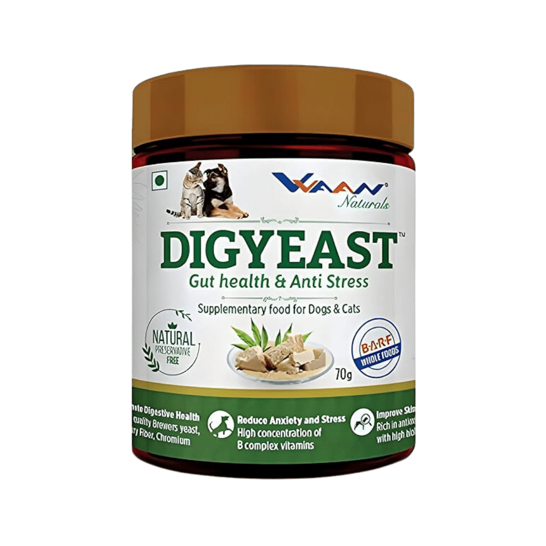 DIGYEAST POWDER