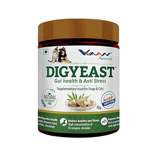 DIGYEAST POWDER