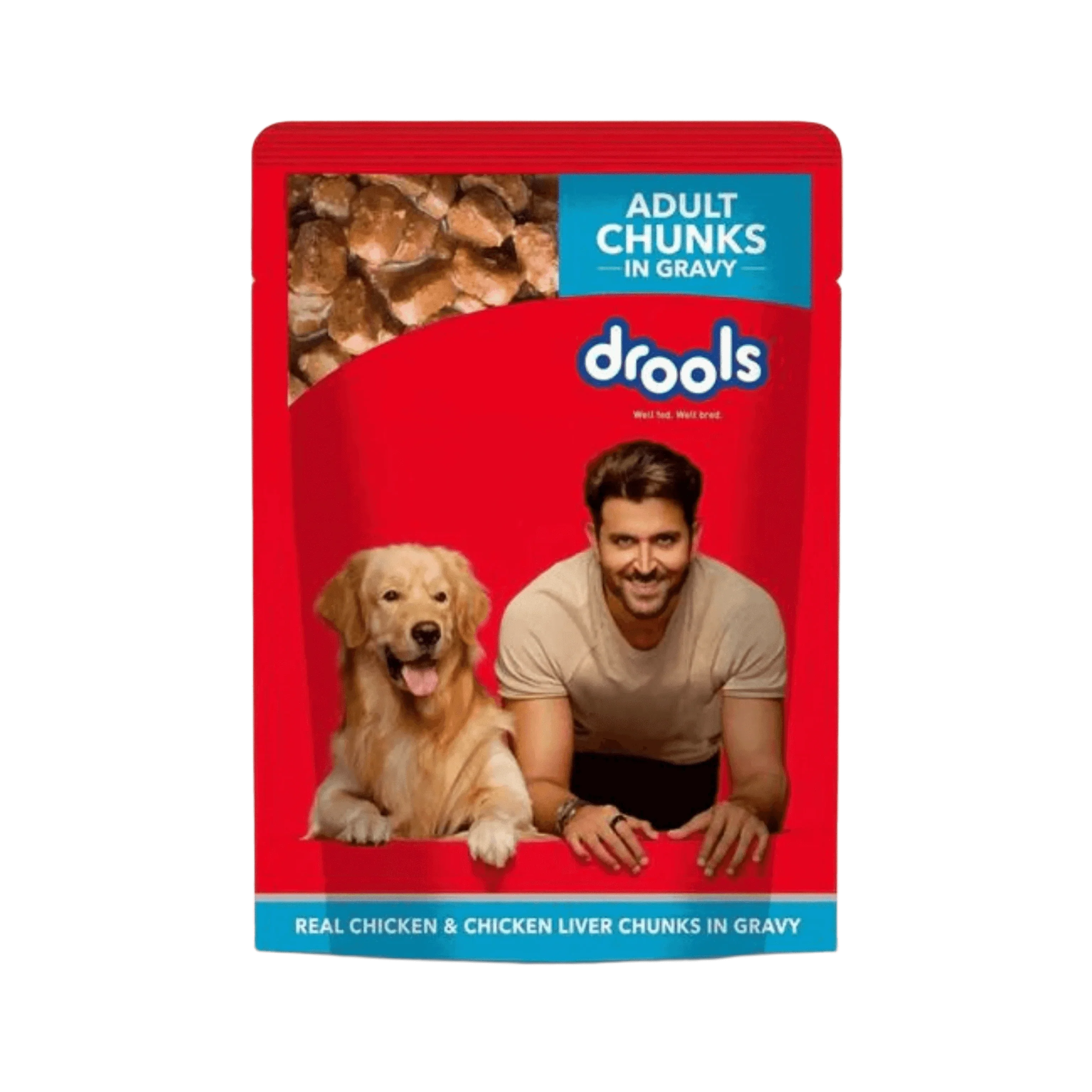 DROOLS ADULT DOG JELLY