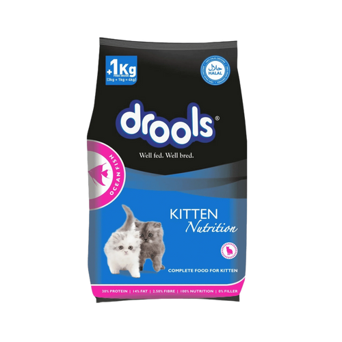 DROOLS CAT KITTEN OCEAN FISH DRY FOOD (S)