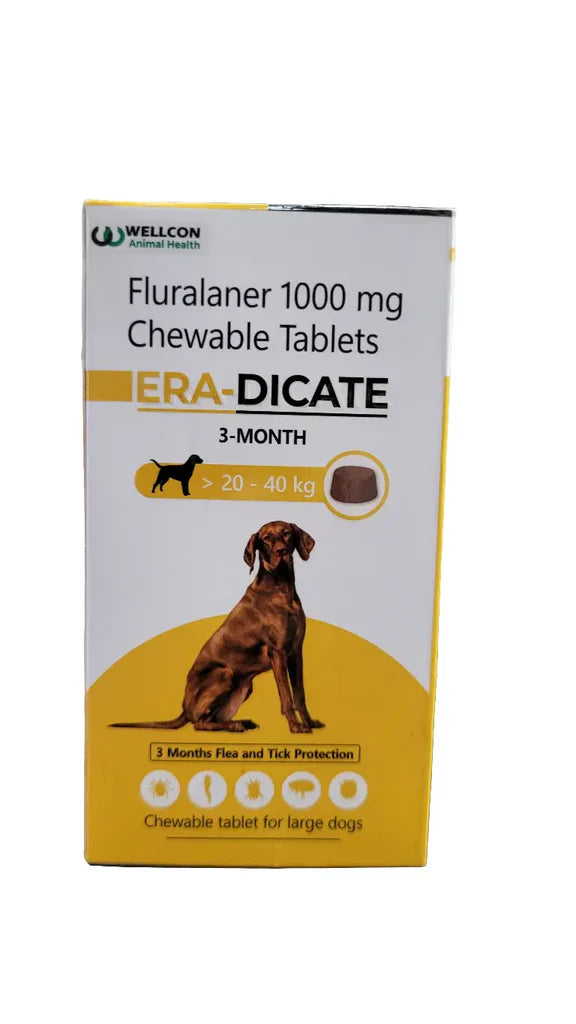 ERA DICATE TABLET 1000MG