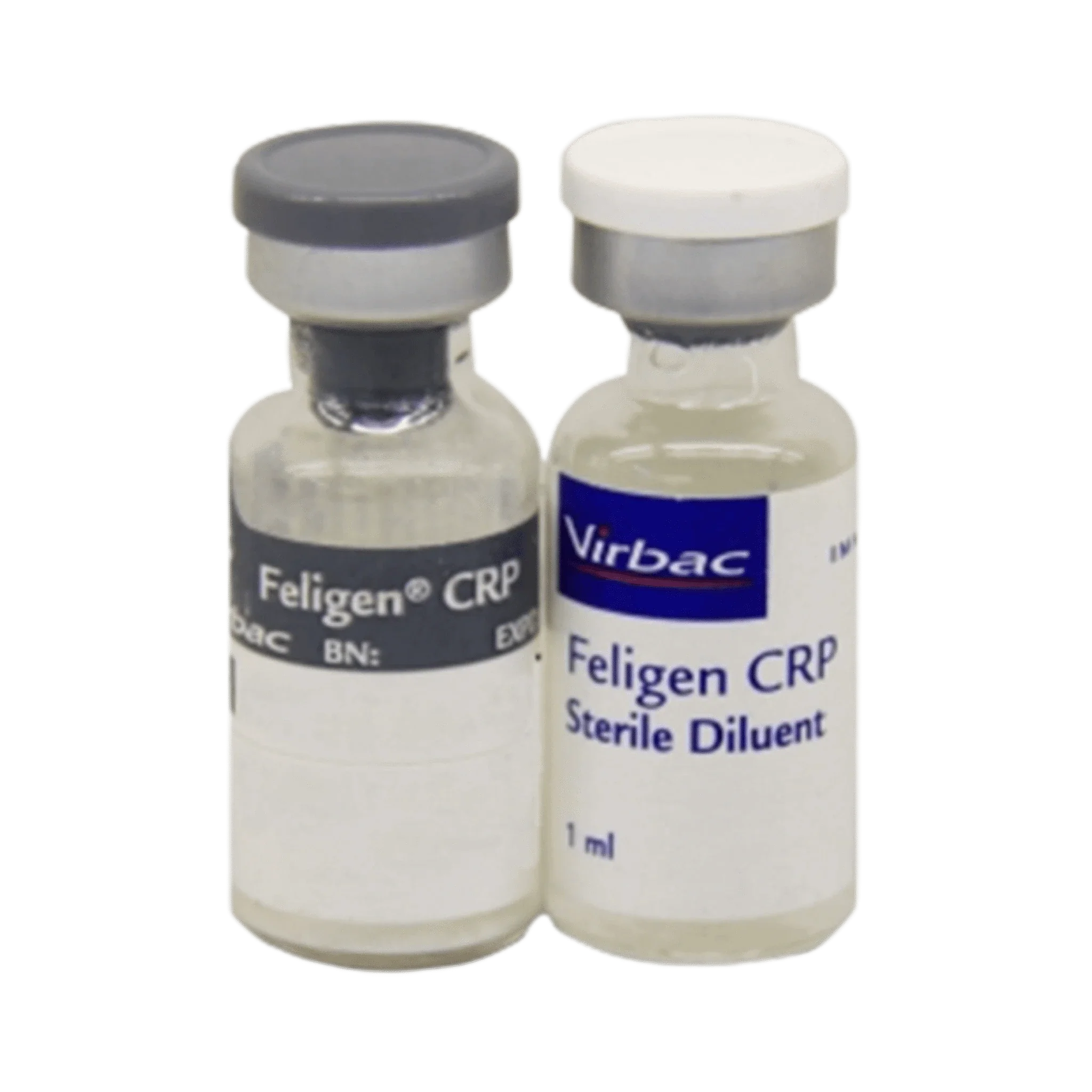 FELIGEN CRP VACCINE