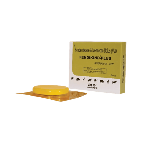 FENDIKIND PLUS BOLUS