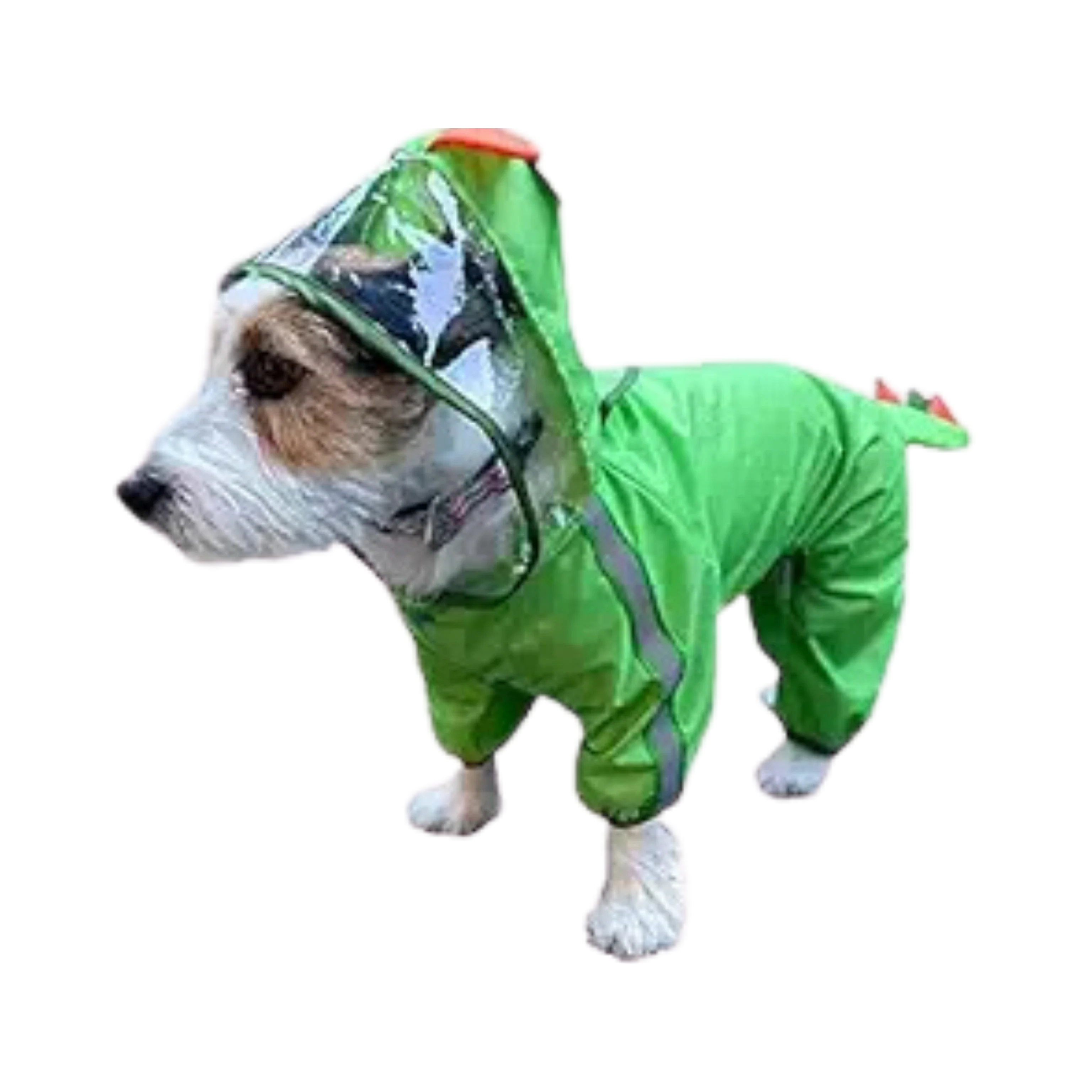 FOFOS PET RAINCOAT-DINOSAUR (M)