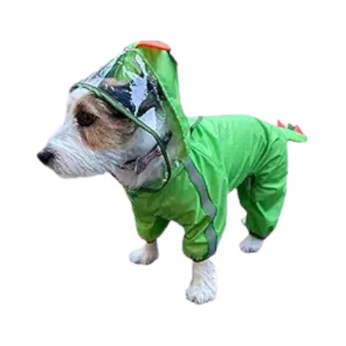 FOFOS PET RAINCOAT-DINOSAUR (M)