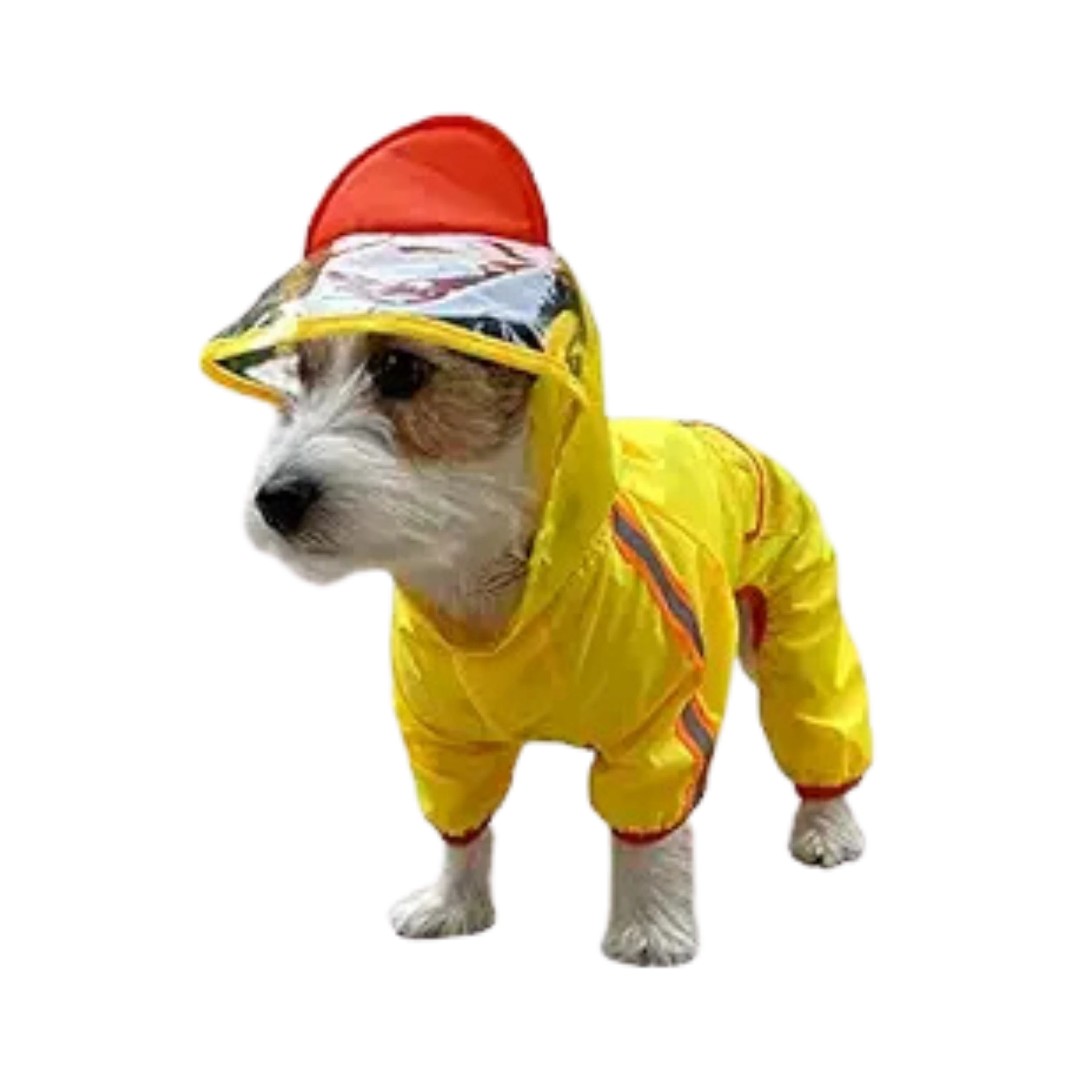 FOFOS PET RAINCOAT -DUCK (M)