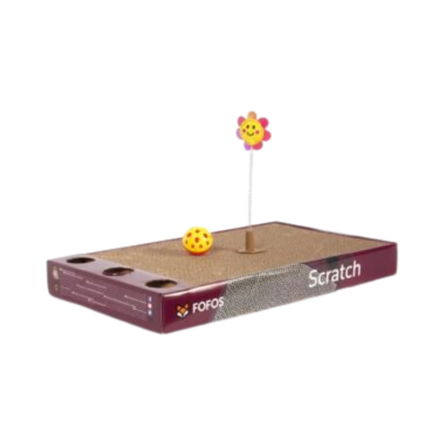 FOFOS ROCK & ROLL PLAY BOX