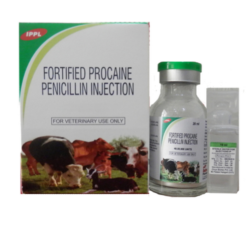 FORTIFIED PROCAINE PENICILLIN 3GM