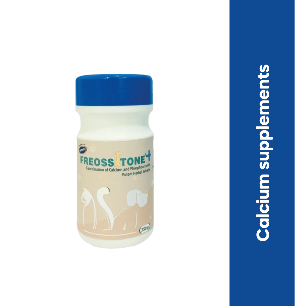 FREOSSITONE PLUS POWDER