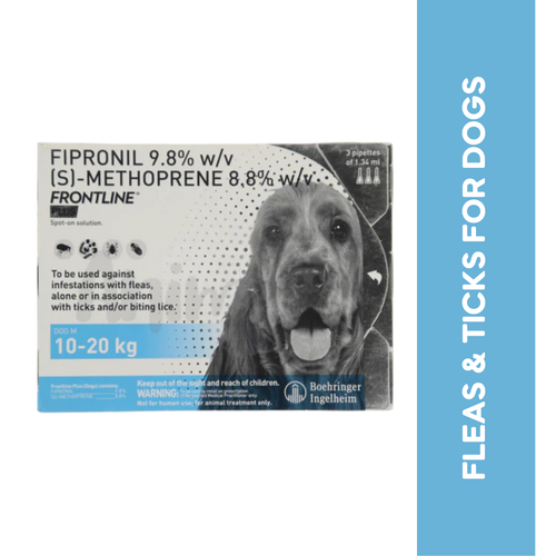 FRONTLINE PLUS (10KG-20KG) DOG SPOT ON