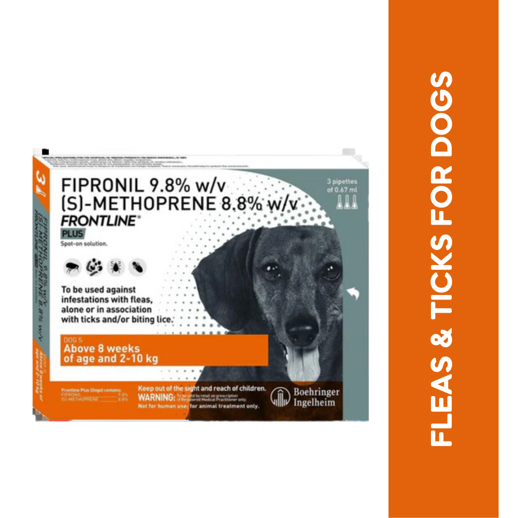 FRONTLINE PLUS (2KG-10KG) DOG SPOT ON